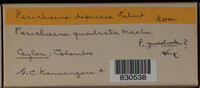 Image Associated With the Occurence
